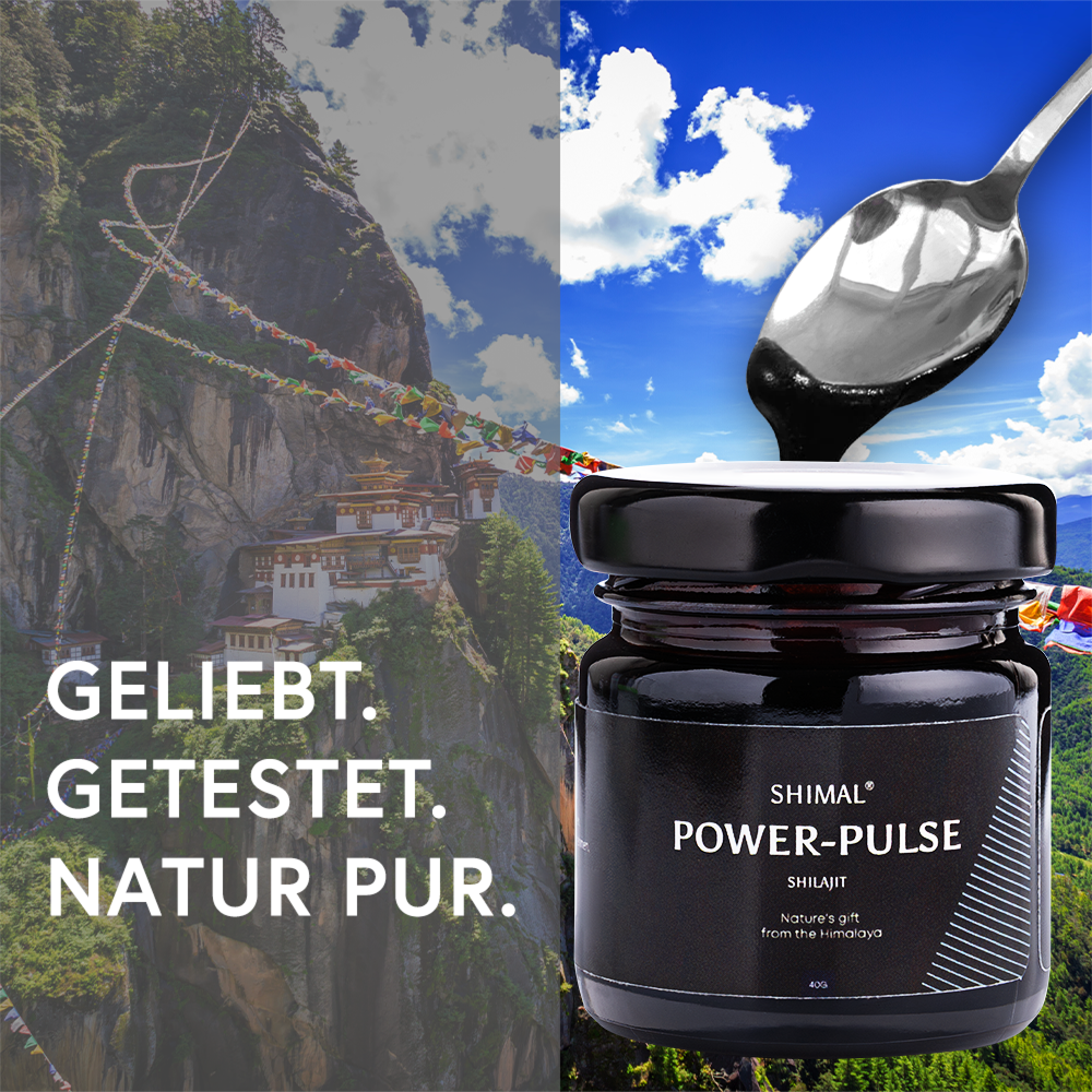 POWER-PULSE SHILAJIT